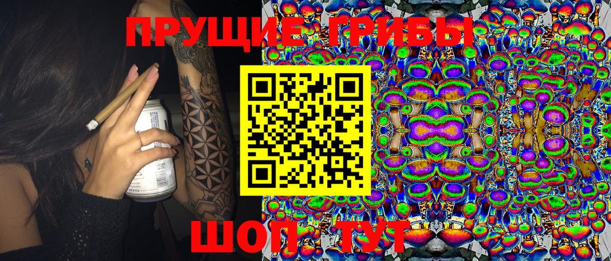 Махачкала  Псилоцибиновые грибы MAGIC MUSHROOMS  Галлюциногенные грибы Psilocybe  Вход с VPN 